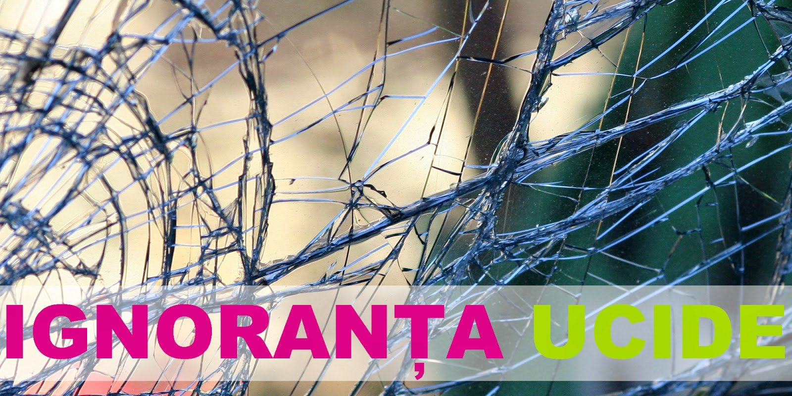 Ignoranta ucide Ignoranta ucide
